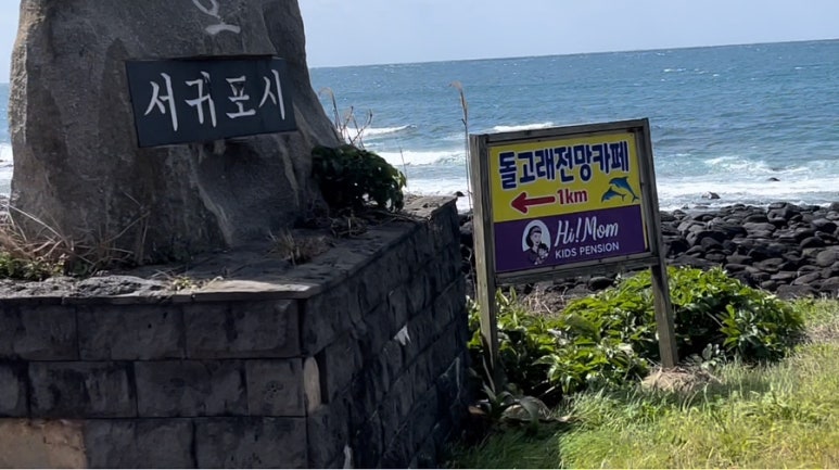 돌고래전망카페 이미지