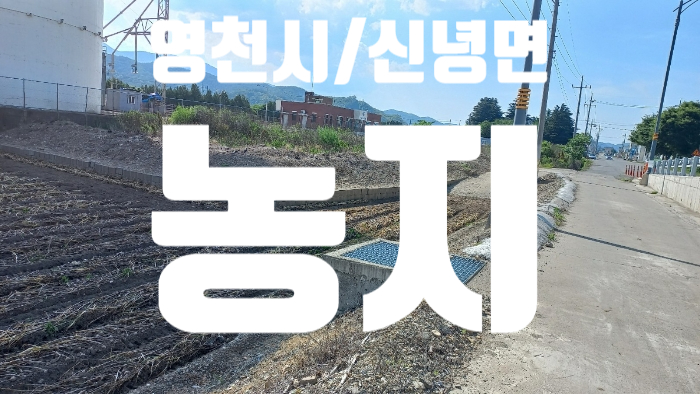 영천582 이미지
