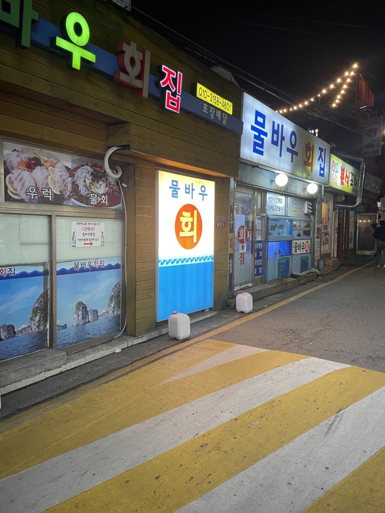 물바우 이미지