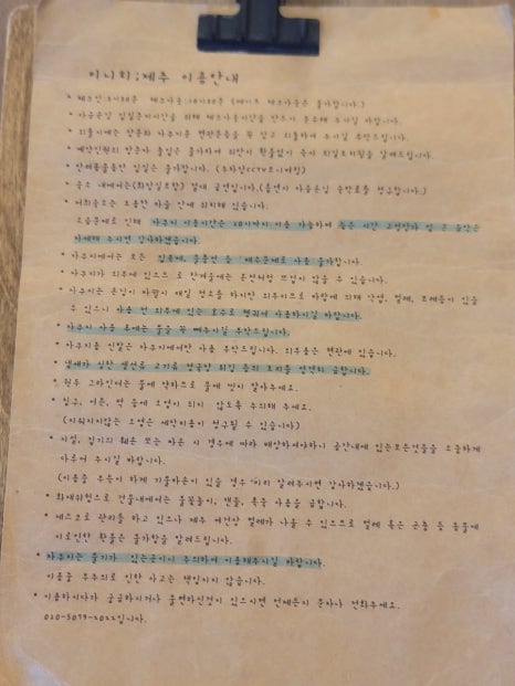 이니히 이미지