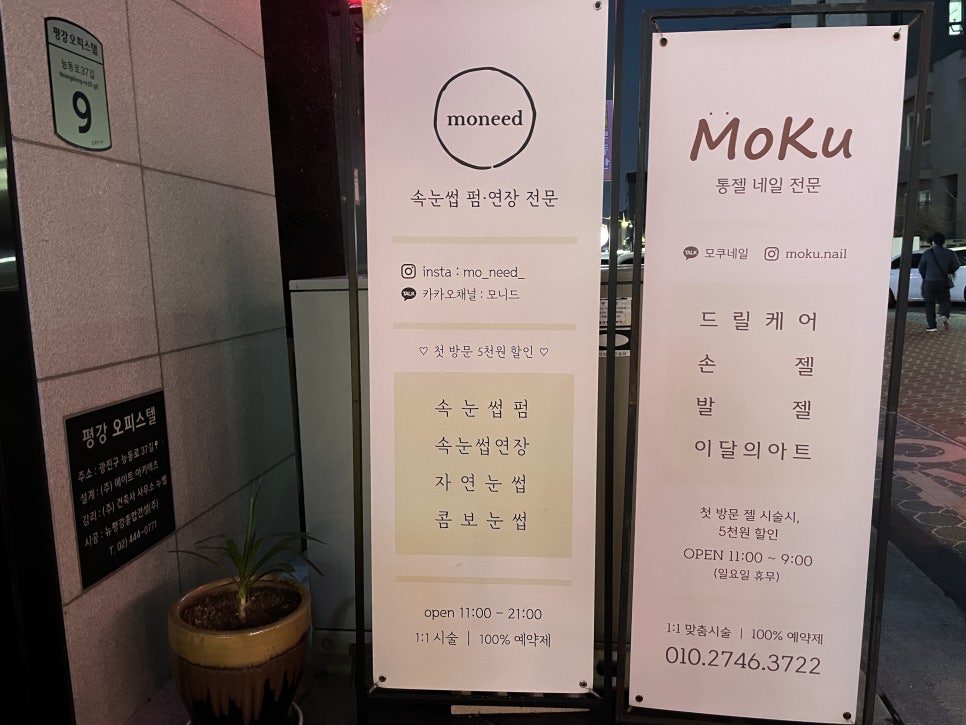모니드 이미지