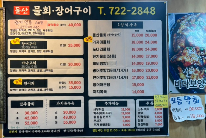 돌산아나고 이미지