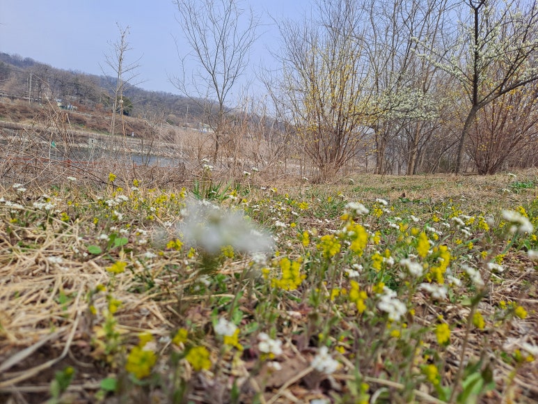 봄.봄미장 이미지
