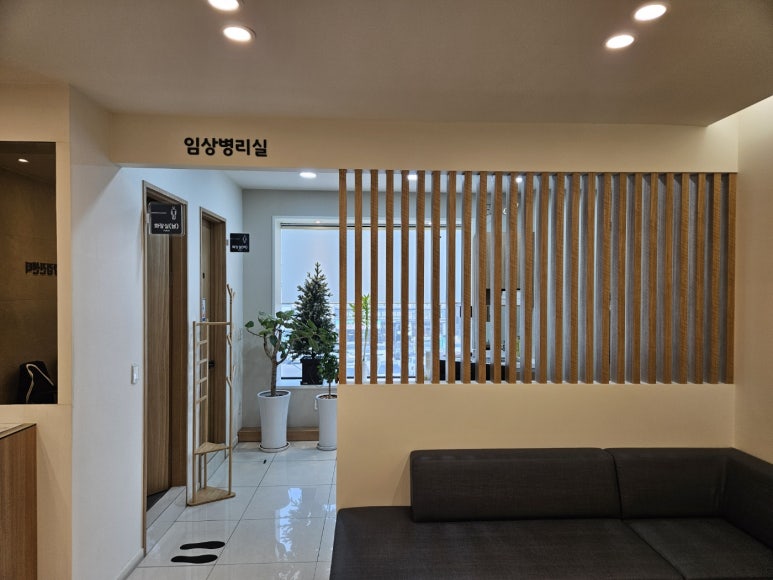 다이소시흥장곡점 이미지