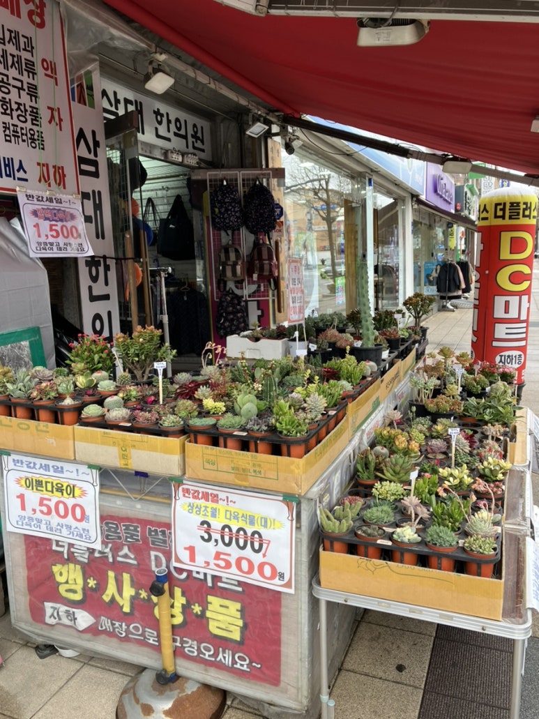 생활용품싸게파는집 이미지