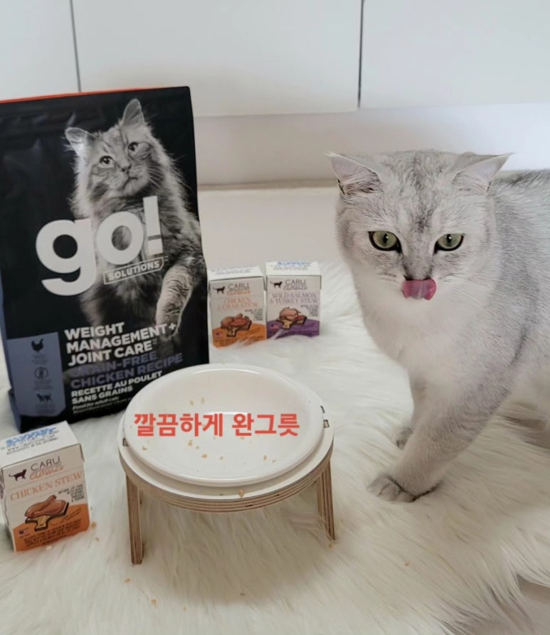 고스튜 이미지