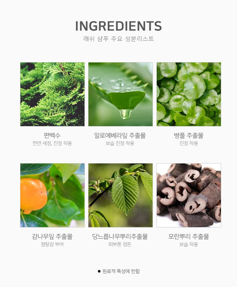 라몽 이미지