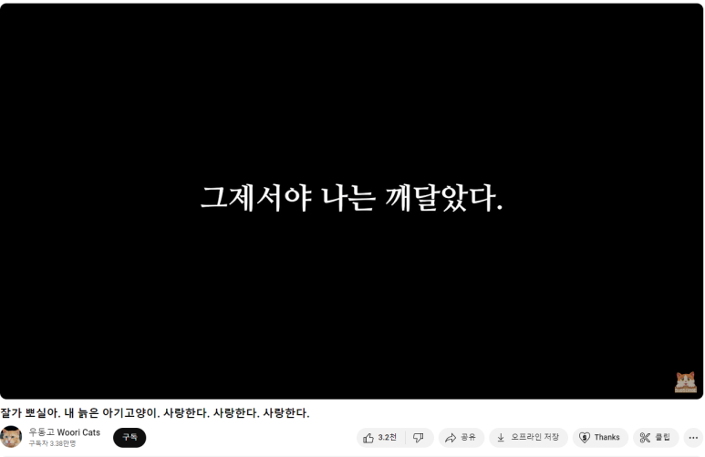 우동고 이미지