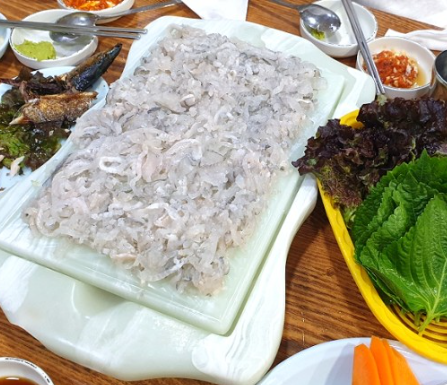 물바우 이미지