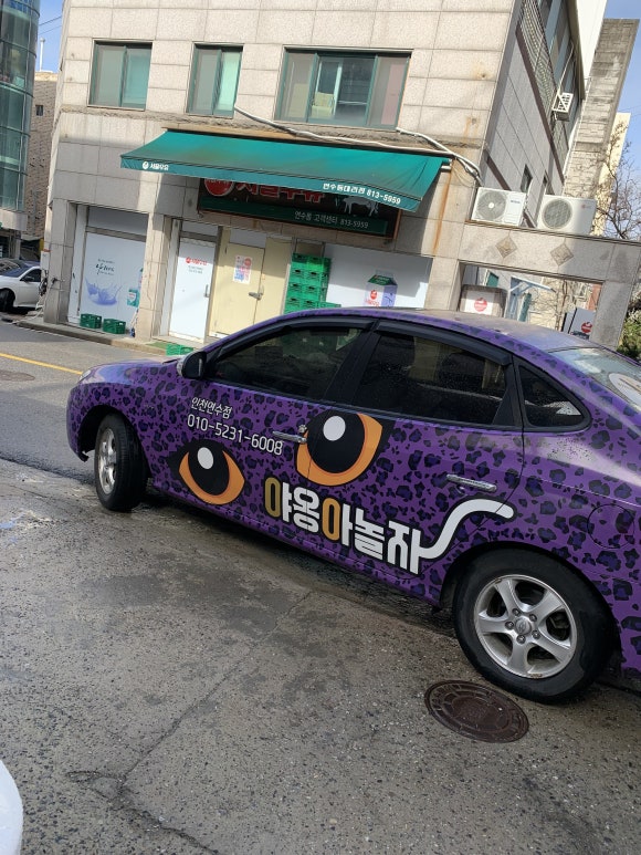야옹아놀자 이미지