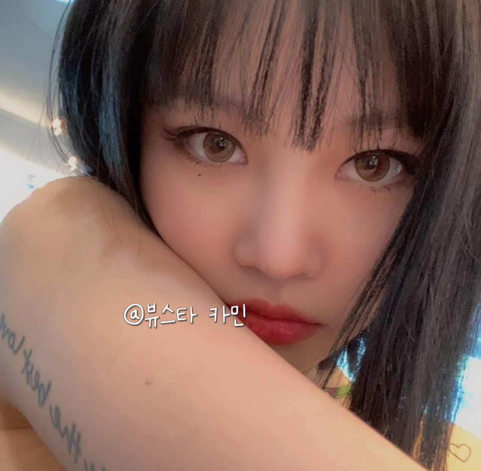 수진디자인 이미지