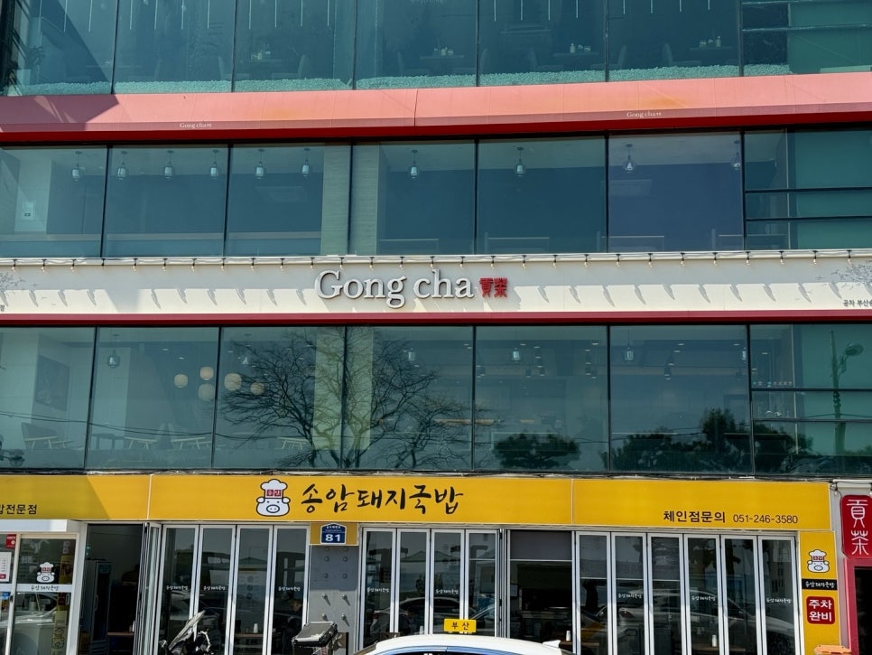 공차 부산송도점 이미지