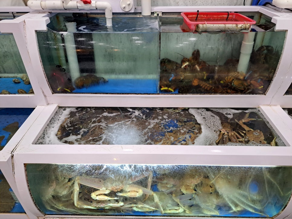 먹자모이자 이미지