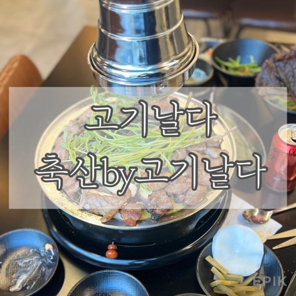 고기날다 이미지