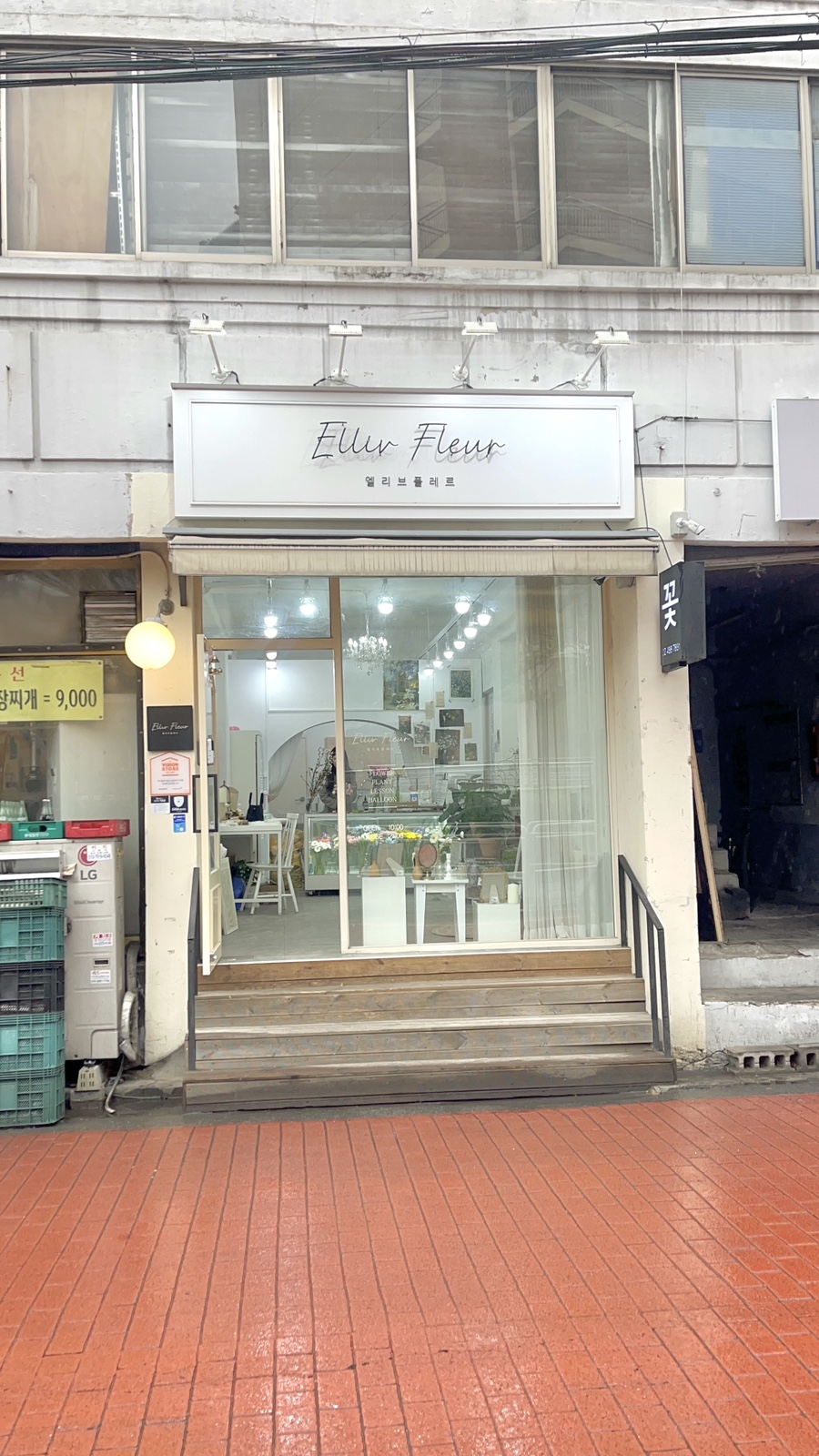 엘리브플레르 이미지