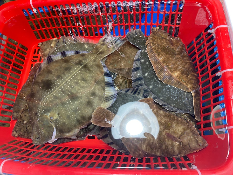 시장회센타 이미지