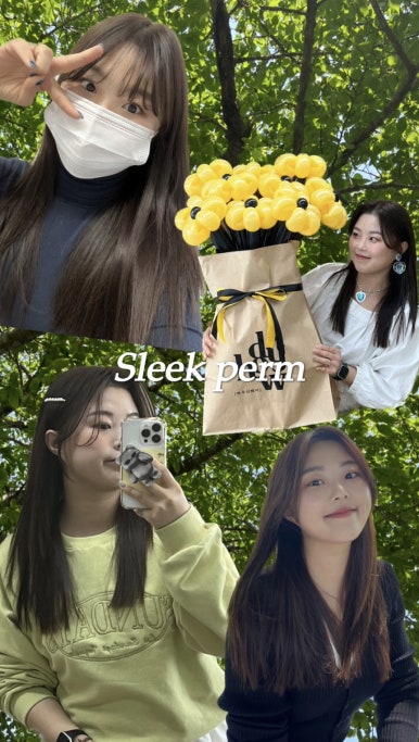 하우디 이미지