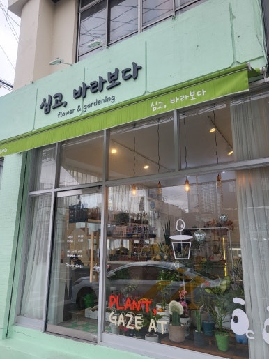 심고;바라보다 이미지