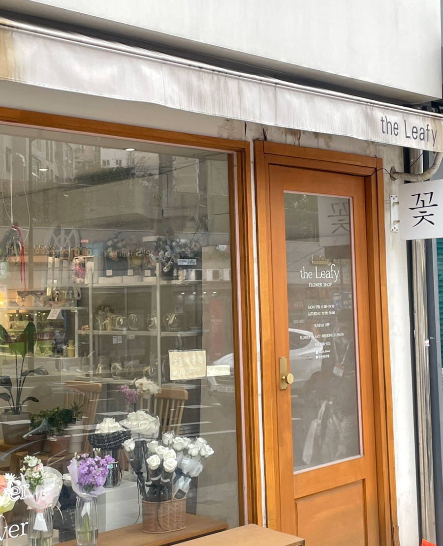 더리앤 이미지