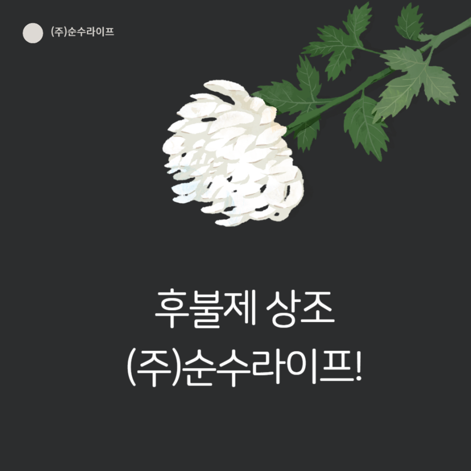 순수상조 이미지