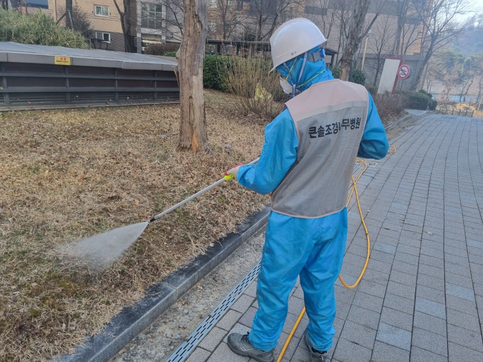 큰솔조경나무병원 이미지