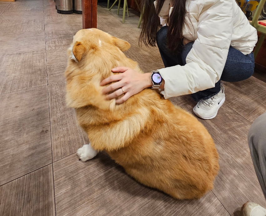 경서재 이미지