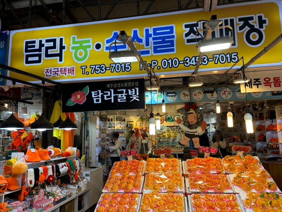 탐라귤빛 이미지