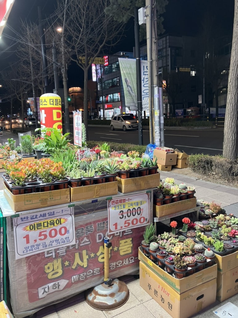 생활용품싸게파는집 이미지