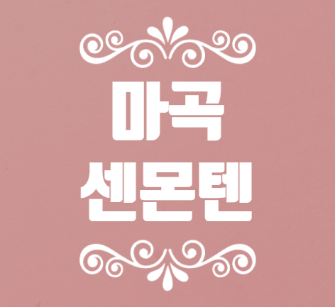 센몬텐 이미지