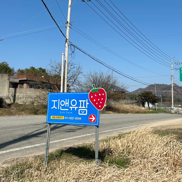 아이유팜 이미지