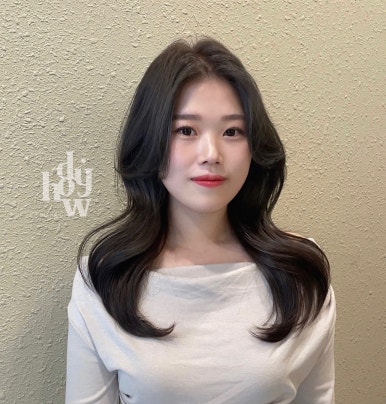하우디 이미지