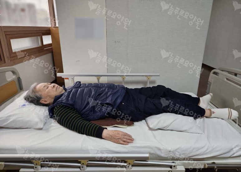 늘푸른보금자리 이미지