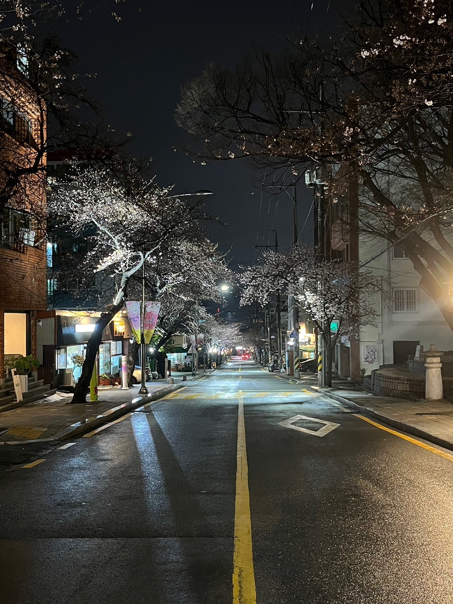 단대목 이미지