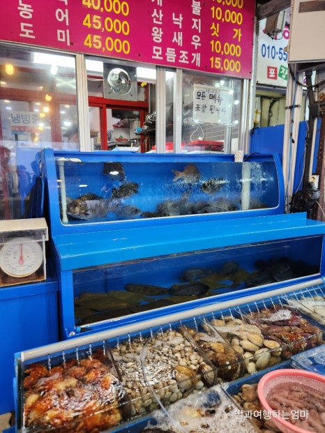 분오호 이미지
