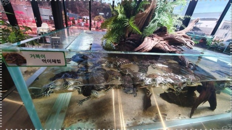 카페 더 리움 이미지