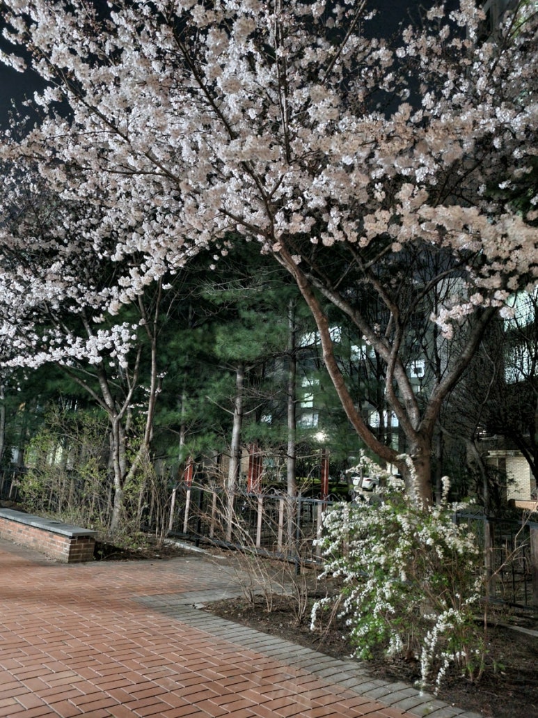 반계공원 이미지