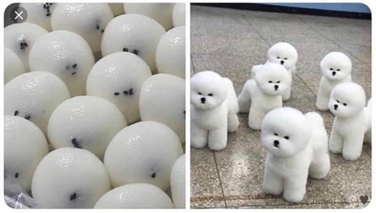 궁떡집 이미지