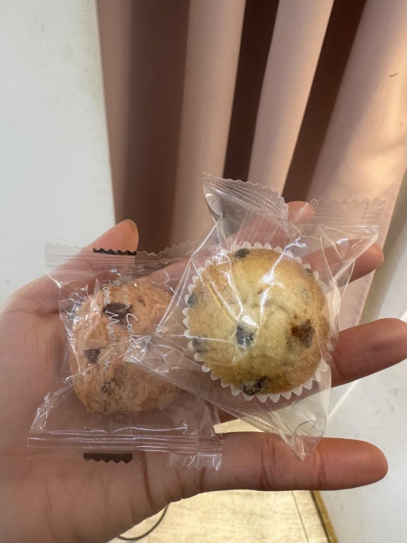 살롱드로즈 이미지