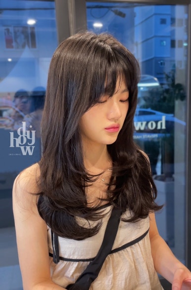하우디 이미지
