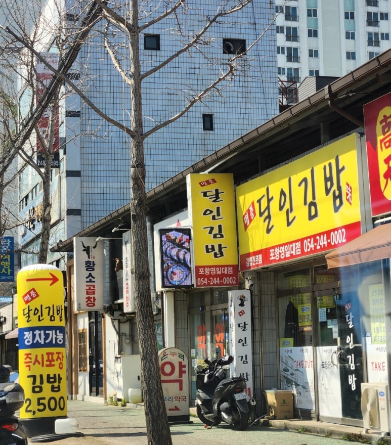 명품달인김밥(영일대) 이미지