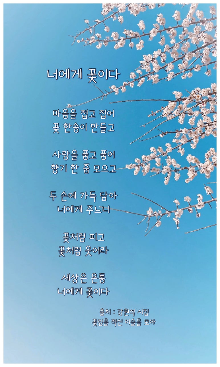 너에게, 꽃이다 이미지