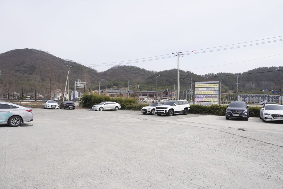 메타퓨전 이미지