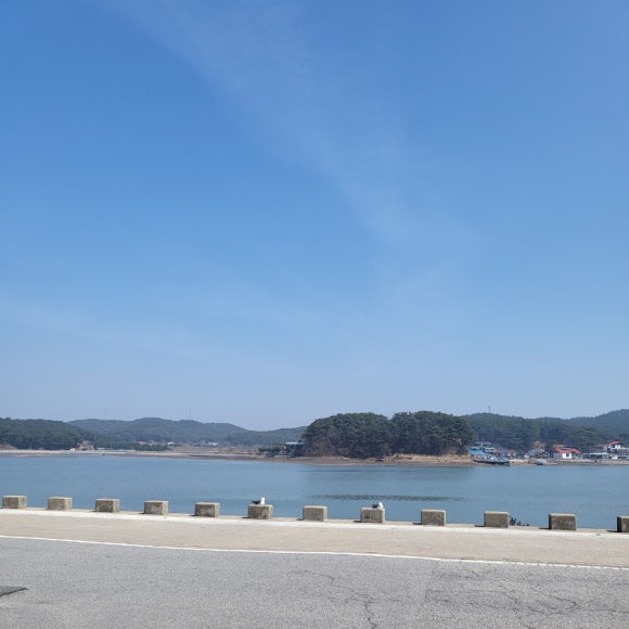 도리스커피 이미지