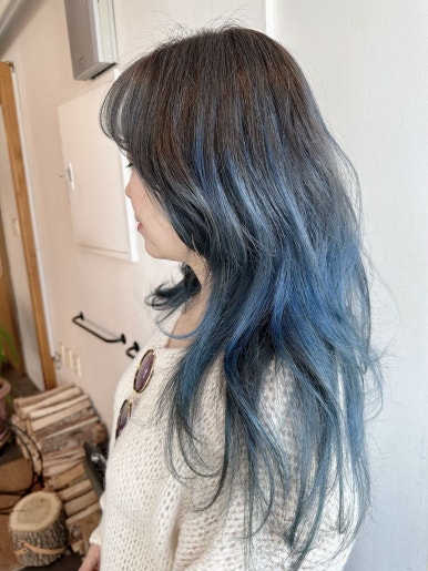 샤미즈 이미지