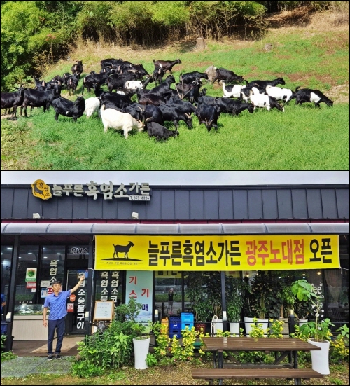늘푸른축산 이미지