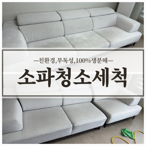 소파카페트매트리스허니룸케어천안 이미지
