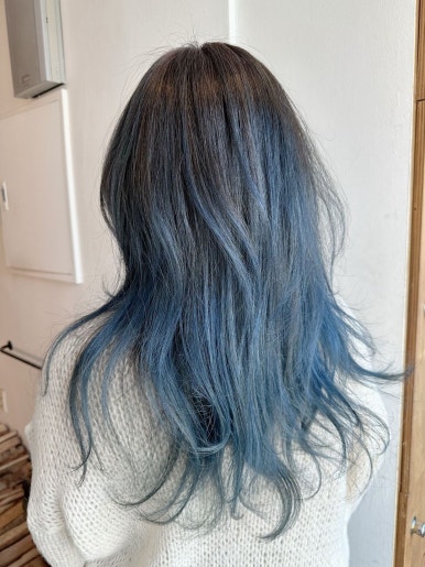 샤미즈 이미지