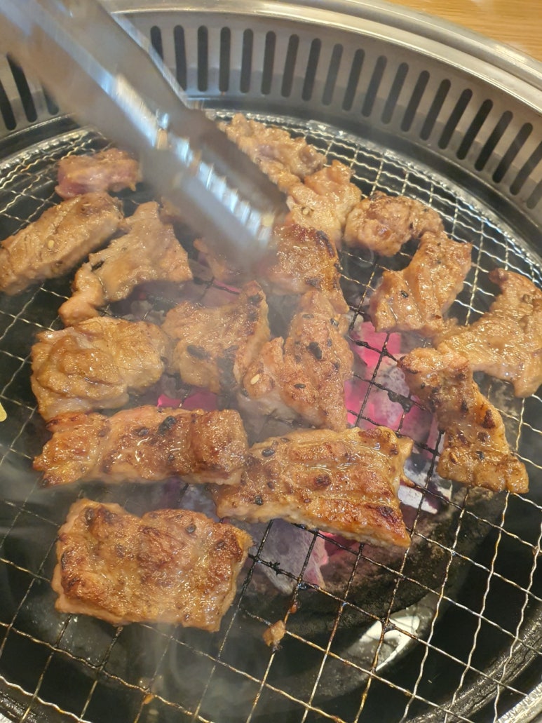 황소야돼지야 이미지