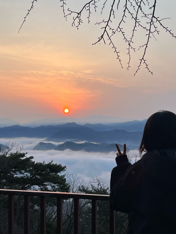어뮤즈545 이미지