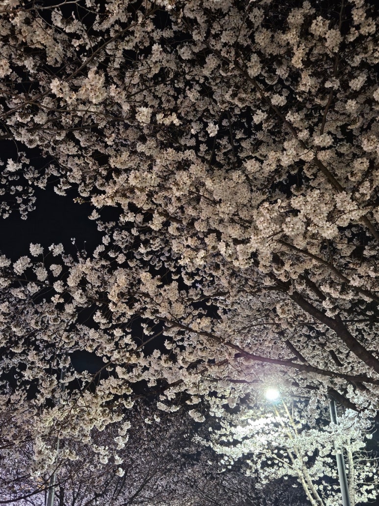 반계공원 이미지